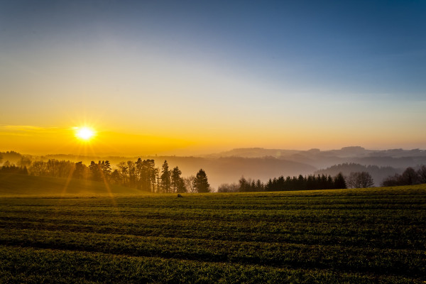 Danas sunčano, najviša temperatura do 17 stepeni