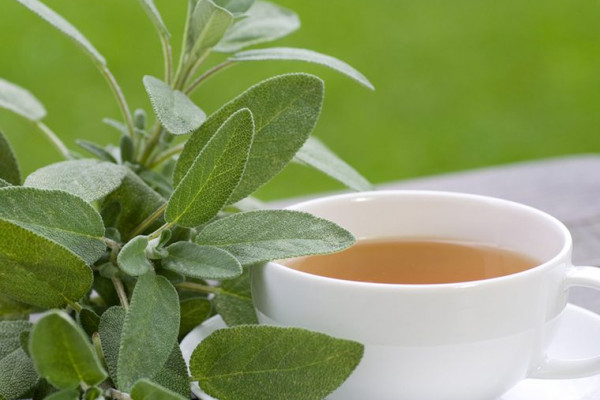 Prirodni antibiotik: Pomaže kod kašlja i upala