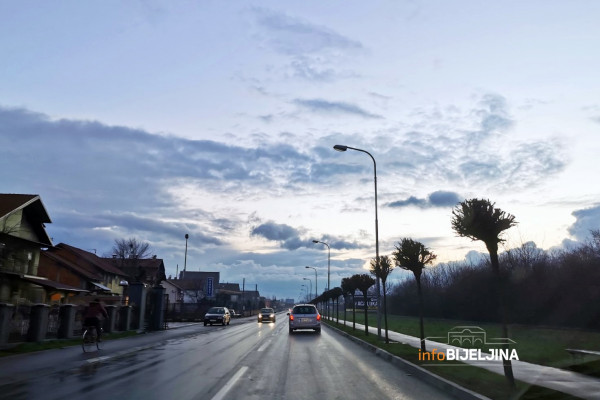 Iz budžeta grada 10.000 KM za obnovu drvoreda