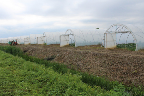 Batković dobija sistem za navodnjavanje