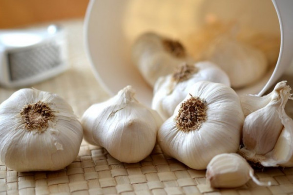 Oglasio se SZO povodom glasina da bijeli luk pomaže protiv koronavirusa