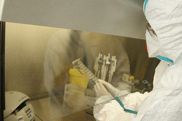 Srbija: Još pet slučajeva zaraze virusom korona