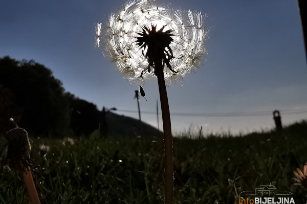 Danas sunčano i toplo, krajem dana zahlađenje