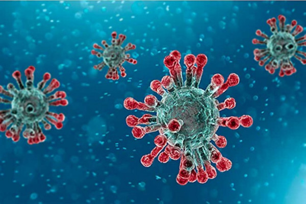 Kako se na hrvatskom kaže virus korona?