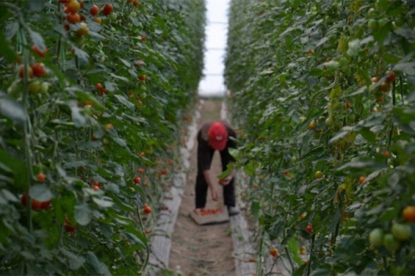 Produžen rok privrednicima za prijave za dodjelu sredstava za april