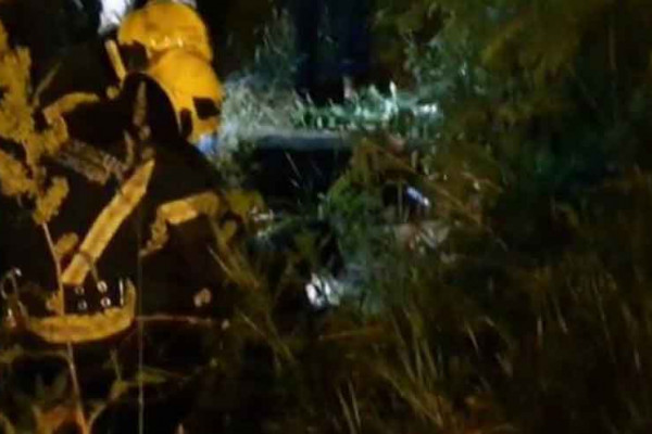 Muškarac slučajno upao u šaht, sa njim iz rupe izvučen je i pas (VIDEO)