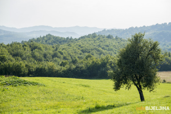 Tokom dana toplo, kiša i pljuskovi mogući poslije podne