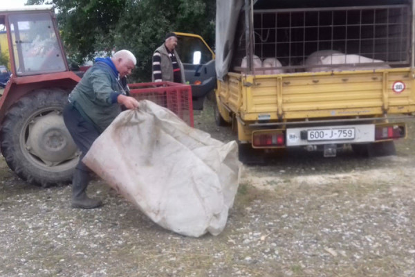 “NJIMA SKUPO, NAMA PREJEFTINO” Loša godina za semberske stočare