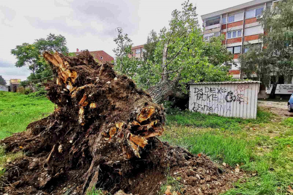 Bijeljina: U olujnom nevremenu oštećeni automobili i četiri garaže /FOTO/