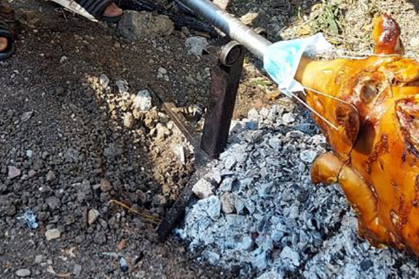 SNIMAK ZAPALIO INTERNET Korona kolo, prase sa maskom i atmosfera kao na moru