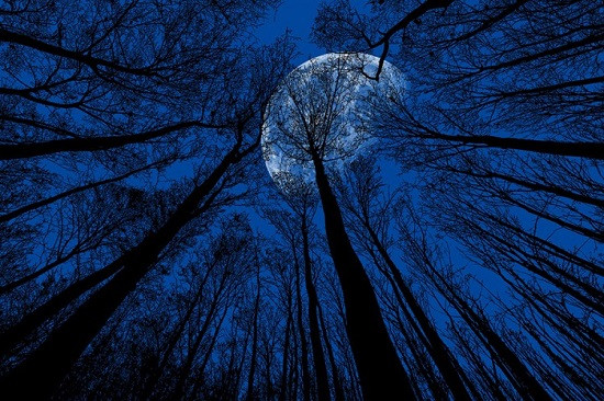 Rijedak fenomen: Plavi mjesec na nebu 31. oktobra