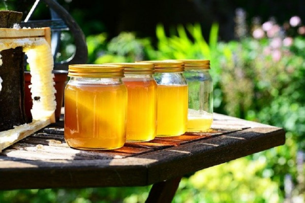 Cijena kilograma meda biće viša od 20 KM zbog slabih prinosa