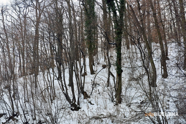 U PETAK U BiH STIŽE SNIJEG Nakon proljećnih temperatura, dolazi prava zima