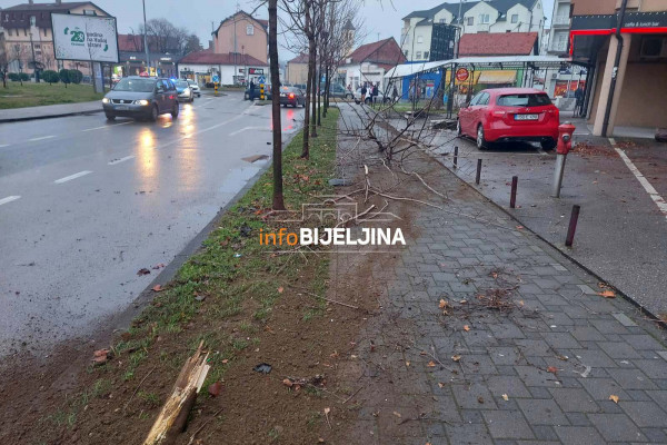 Autom pokosio drvo, “proletio” kroz baštu kafića i završio u kružnom toku (FOTO)