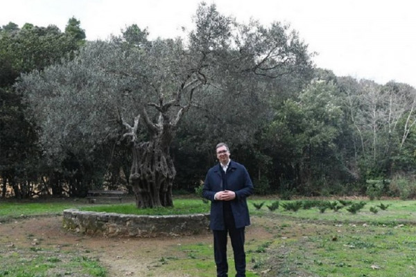 Hilandar sublimiše nacionalno, državno i duhovno jedinstvo Srba