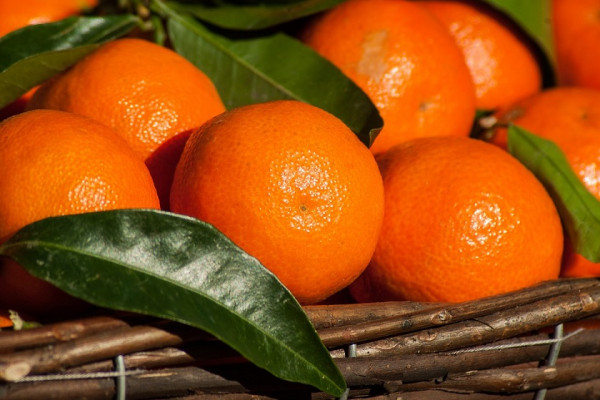 Inspekcija RS zabranila uvoz više od 20 tona mandarina iz Turske