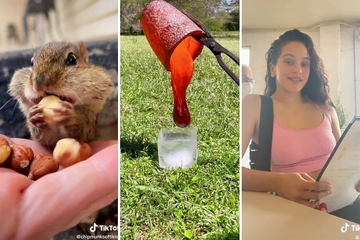 Ovi snimci bili su najgledaniji na TikToku u 2022. godini: Od plesa do simpatičnih životinja (VIDEO)