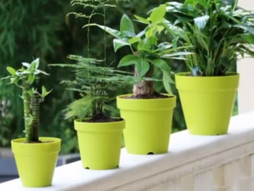 KUĆNI TRIKOVI Dotrajale i stare stvari nisu uvijek za smeće, iskoristite ih na praktičan način u bašti