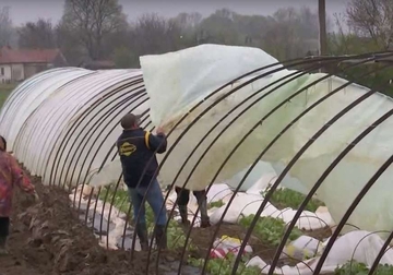 "NIŠTA NAM NEĆE OSTATI" Vjetar uništio plastenike u Semberiji, poljoprivrednici očajni
