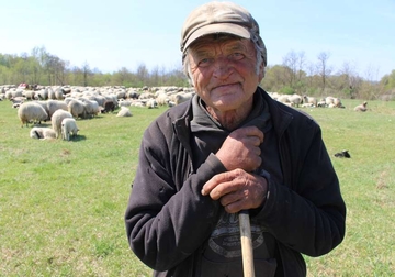 Perinih četrdeset zima za ovcama: Posljednji nomadi sa Manjače, na povratku kući