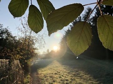 Ujutro slaba kiša, poslije podne pljuskovi sa grmljavinom