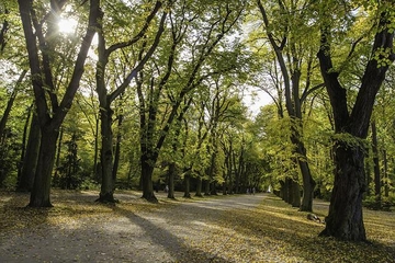 Danas vrlo toplo, popodne naoblačenje