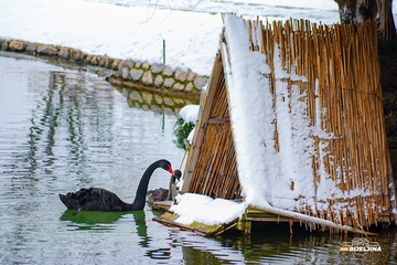 Poznati bh. meteorolog otkrio kakvo vrijeme nas očekuje u danima Nove godine