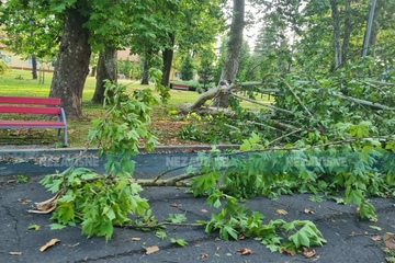 Snažno nevrijeme širom BiH: Vjetar čupao stabla, neki gradovi ostali bez struje