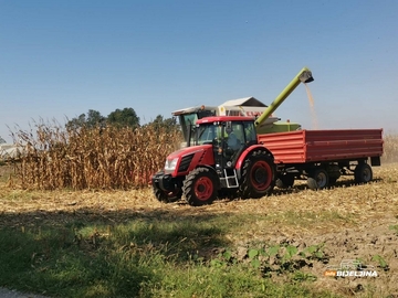 Hladnoće i previše kiše usporile rast kukuruza: Stručnjaci upozoravaju na moguće smanjenje prinosa