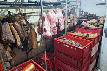 Ignorisao mjere protiv afričke kuge svinja, pa uhapšen (FOTO)