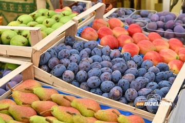 Zbog vremenskih neprilika voćari RS u problemu: Skok cijena i manjak džemova na tržištu