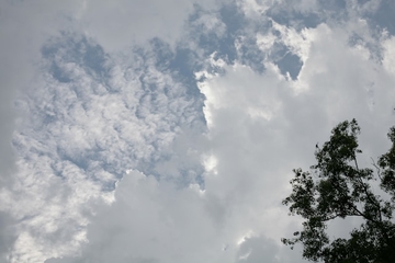 Pretežno oblačno, temperatura do 19 stepeni