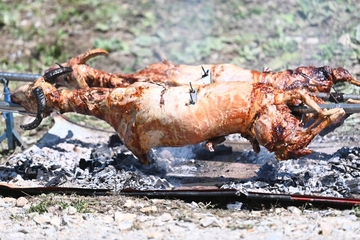 U nedjelju četvrta „Fijakerijada i Jagnjijada“ u Batkoviću