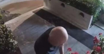 Bez stida i srama: Beograđanin komšiji ukrao cvijeće iz saksije(VIDEO)