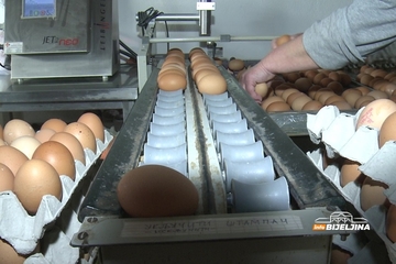 Živinari u Srpskoj najavljuju poskupljenje jaja: Proizvođači poručuju da su cijene najniže u Evropi