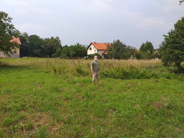 SEMBERCI MUKU MUČE SA AMBROZIJOM Poljoprivredni inspektori svakodnevno na terenu, minimalna kazna 200 KM