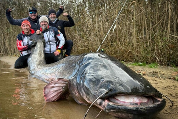 Ulovili zvijer od 292 centimetra, oboren svjetski rekord (VIDEO)