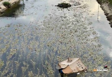 Smeće u kanalu Drina-Dašnica u samom centru Bijeljine, komunalne službe ne izvršavaju svoje obaveze