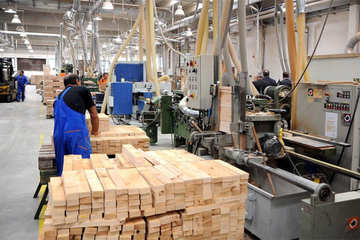 Strmoglav pad izvoza drveta iz BiH