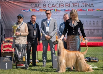 Istorijski uspjeh Kinološkog udruženja "Semberija": Stiže saglasnost za ispite i takmičenja pasa (FOTO)