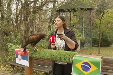 Soko predviđa pobjedu "Orlova": Dva puta sletio na zastavu Srbije VIDEO