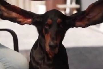 Ima najduže uši na svijetu i oborio je Ginisov rekord