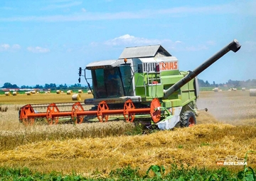 Rekordan rod, slaba cijena? Pšenica iz RS pred neizvjesnom sezonom otkupa