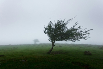 Očekuju se JAKI UDARI VJETRA: Na snazi žuti meteoalarm