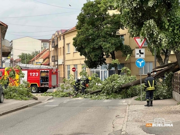 Bijeljina: Vatrogasci isjekli i uklonili stablo koje je palo na ulicu (FOTO)