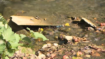 Rudarenje litijuma ostavlja posledice na zdravlje mještana: “Voda pecka po tijelu, iskaču plikovi…”