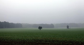 I danas kiša, ponegdje jači pljuskovi i grad