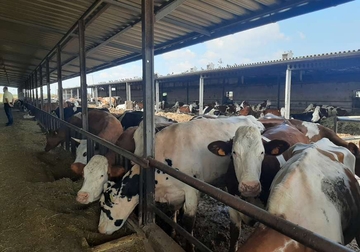 U selu kod Bijeljine osnivaju farmu sa 1.200 grla, građani mogu dati mišljenja i komentare