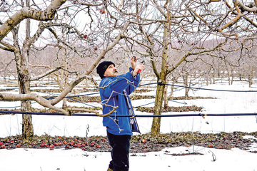 Minus stigao u pravi čas za voćke