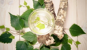 Magične biljke ruske tradicionalne medicine
